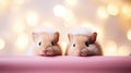 Close-up of two adorable hamsters, focus on their faces, with a bokeh light background. Royalty Free Stock Photo