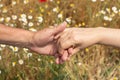 Close-up of two adult hands holding each other on a sunny day in nature Royalty Free Stock Photo