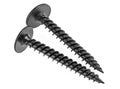 Close-up of two black metal screws isolated on white background Royalty Free Stock Photo