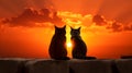 Close-up of two cats romantically gazing toward the ocean horizon at sunset Royalty Free Stock Photo