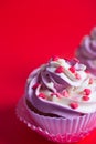 Close-up two cupcakes with creamy pink and white top decorated Royalty Free Stock Photo