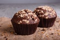 Close-up two chocolate muffins with nuts on a table background. Chocolate cupcakes. Homemade pastry. Royalty Free Stock Photo