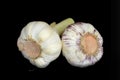 Close up of two fresh garlics isolated on black baackground Royalty Free Stock Photo