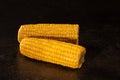 Close-up of two fresh ripe corn cobs on dark black background Royalty Free Stock Photo