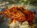 Close-up of two fried lobsters