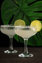 Close-up of two glasses of margarita cocktail with lime slices and salt, on wooden table, with green leaf and black background Royalty Free Stock Photo