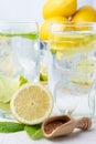 Close-up of two glasses of water with ice, brown sugar, cube with lemons and mint leaves, on white table, Royalty Free Stock Photo