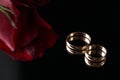 Close-up of two Gold Wedding rings and wedding bouquet of red roses Royalty Free Stock Photo