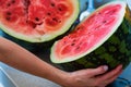 Ripe juicy watermelon cut in halves close Royalty Free Stock Photo