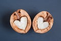 Close-up two halves of walnut in shape of heart are lying on dar