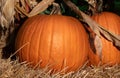 Close up of two large orange pumpkins decoratively placed on straw on Halloween Royalty Free Stock Photo