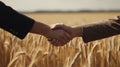 Close up of two mens shaking hands with wheat field on the background Royalty Free Stock Photo