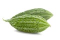 Close-Up of two Organic Indian bitter gourd Momordica charantia or fresh Green Karela isolated over white