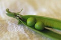 Close up of  two peas in a pod Royalty Free Stock Photo