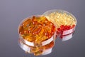 Close up two petri dishes with vitamin pills. Royalty Free Stock Photo