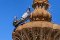 Close up of two pigeons perched on a water fountain Royalty Free Stock Photo