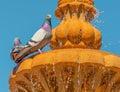 Close up of two pigeons perched on a waterfountain Royalty Free Stock Photo
