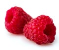 Close-up Two raspberry berries on a white background. Royalty Free Stock Photo