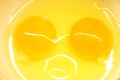 Close up of two raw egg yolks in a white bowl Royalty Free Stock Photo