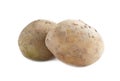 Two raw potatoes isolated on white background. Royalty Free Stock Photo