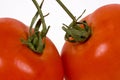 Close up of two red tomatoes