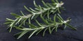 Close-up of two rosemary stems on a dark surface