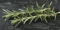 Close-up of two rosemary stems on a dark surface