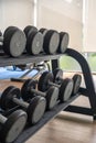 Close up of two rows of dumbbells in fitness room