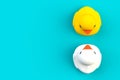 Close up of two rubber ducks isolated. Bath toys on a blue background. Top view with copy space. Summer wallpaper. Royalty Free Stock Photo