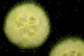 Close-up of two slices of green cucumber glowing against a dark background. The cucumbers are swimming in liquid. Bubbles flow up Royalty Free Stock Photo