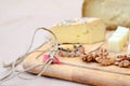 Close-up of two types of sheep cheese cut into cubes displayed on a cutting board Royalty Free Stock Photo