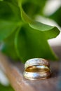 Close up of two wedding rings on wood with green leaf in background Royalty Free Stock Photo