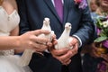 Bride and groom hold white doves Royalty Free Stock Photo