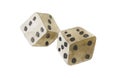 Close-up of two white Watercolor dice against white background