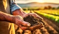 Wrinkled Hands of a Farmer Holding Soil - Generative Ai