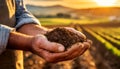 Wrinkled Hands of a Farmer Holding Soil - Generative Ai