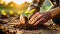 Hands of a Farmer Planting a Small Green Plant - Generative Ai