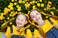 Close-up of two young girls lying in a field of dandelions on a bright sunny day. Two sisters are lying on the grass in yellow Royalty Free Stock Photo
