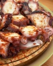 Close up of typical galician octopus dish: Pulpo a feira Royalty Free Stock Photo