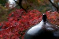 Close up of a typical japanese bridge post with red colored maple leave in the background Royalty Free Stock Photo