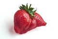 Close-up on ugly but perfectly edible strawberry on white background