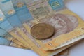 Ukrainian coins on a white background