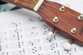 Close up ukulele Royalty Free Stock Photo