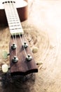Close up of ukulele on old wood textured