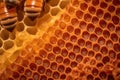 close-up of uncapped honeycomb during harvest