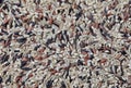 A close up of a  uncooked mixed Wild Rice with black Rice, Brown Rice and Basmati Rice Royalty Free Stock Photo