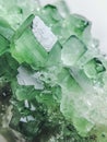Uncut green chrysolite crystal. Royalty Free Stock Photo
