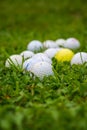 Close-up of unfocused grass and a group of white golf balls on grass, vertical, Royalty Free Stock Photo