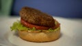 Close-up of unhealthy fatty burger lying on plate, junk food, obesity problem