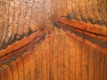 Close Up Unique Wet Wood Texture Dark